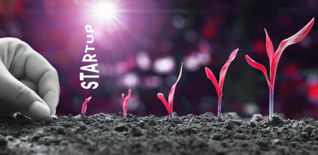startup growing like a plant
