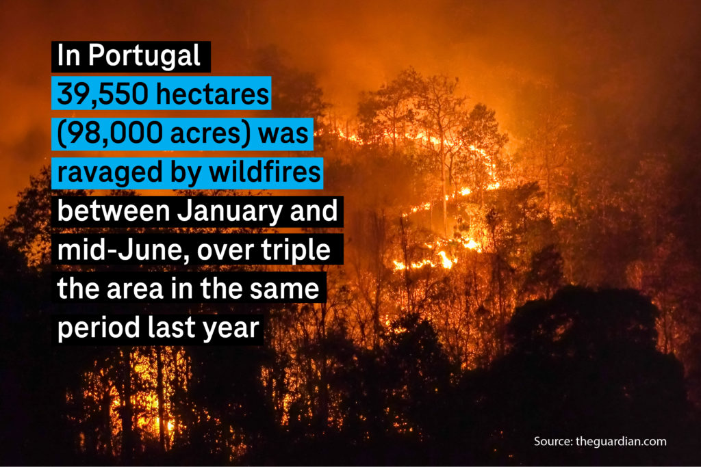 In Portugal 39550 hectares was ravaged by wildfire between January and mid-June, over triple the area in the same period last year.