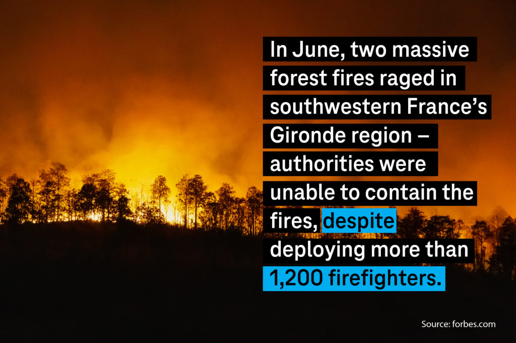 In June, two massive forest fires raged in southwestern France`s Gironde region