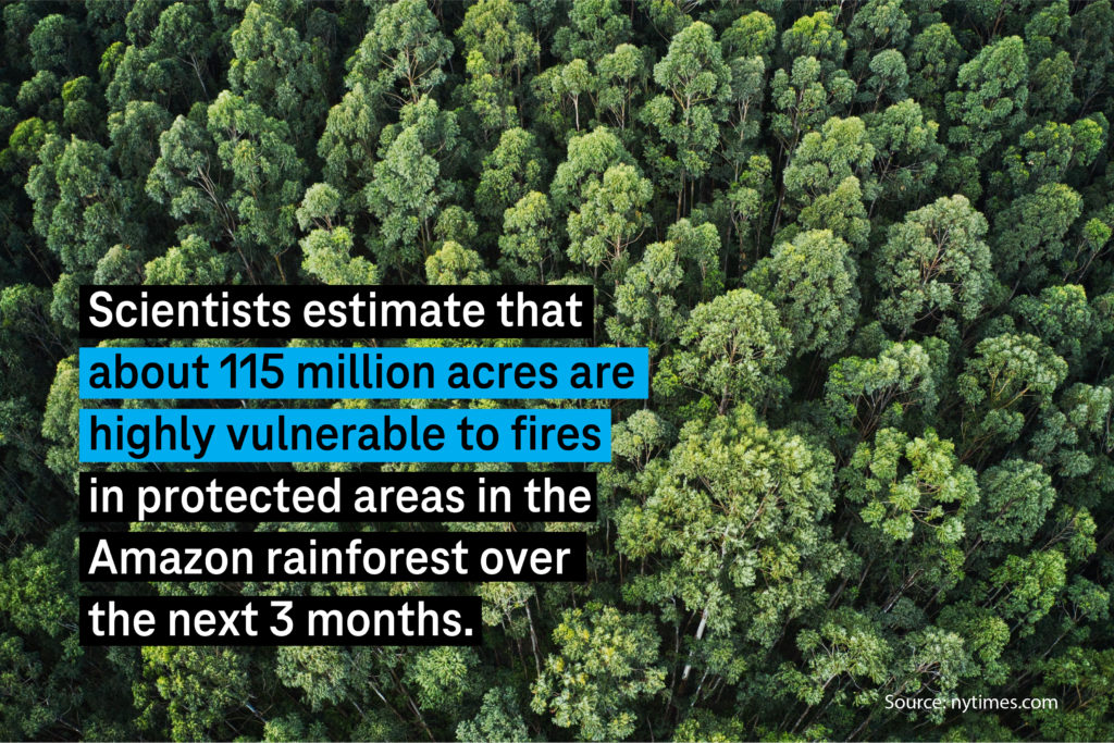 Scientists estimate that about 115 milion acres are highly vulnerable to fires in protected areas in the Amazon rainforest over the next 3 months.